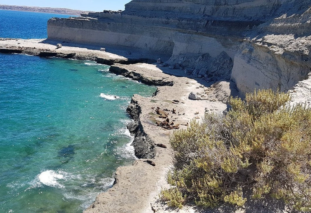 Puerto Piramides海上游